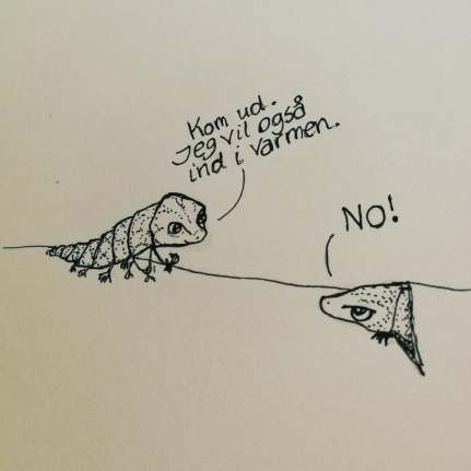 Skjoldkrebs by Louise